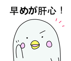 Pharmacist White dolphin Kyupi sticker #4012358