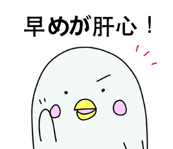 Pharmacist White dolphin Kyupi sticker #4012358