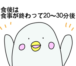 Pharmacist White dolphin Kyupi sticker #4012370