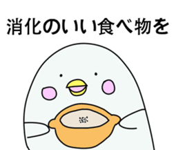 Pharmacist White dolphin Kyupi sticker #4012372