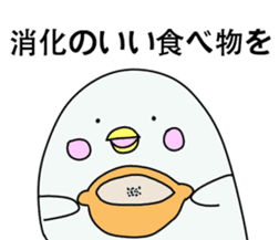 Pharmacist White dolphin Kyupi sticker #4012372