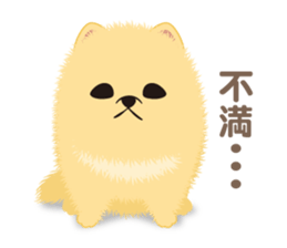 The tiny Pomeranian puppy 3 sticker #4012396