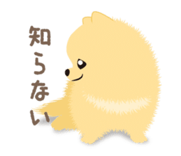 The tiny Pomeranian puppy 3 sticker #4012400