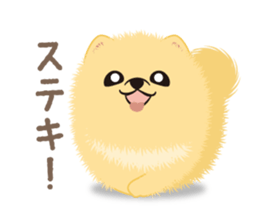 The tiny Pomeranian puppy 3 sticker #4012402