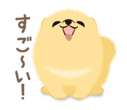 The tiny Pomeranian puppy 3 sticker #4012403