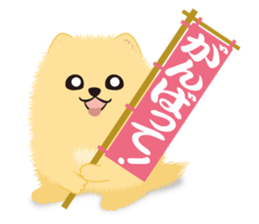 The tiny Pomeranian puppy 3 sticker #4012405