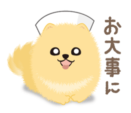 The tiny Pomeranian puppy 3 sticker #4012411
