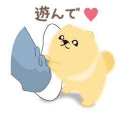 The tiny Pomeranian puppy 3 sticker #4012412