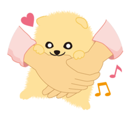 The tiny Pomeranian puppy 3 sticker #4012413