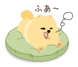 The tiny Pomeranian puppy 3 sticker #4012423