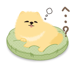 The tiny Pomeranian puppy 3 sticker #4012424
