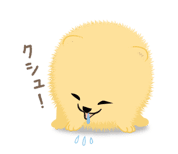 The tiny Pomeranian puppy 3 sticker #4012427