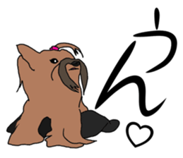 a cheerful Yorkshire terrier 2nd jp sticker #4012671