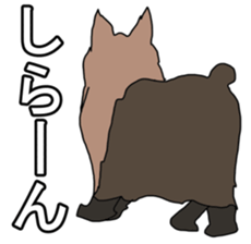 a cheerful Yorkshire terrier 2nd jp sticker #4012672