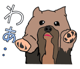 a cheerful Yorkshire terrier 2nd jp sticker #4012673