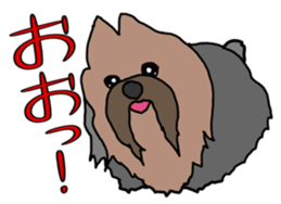 a cheerful Yorkshire terrier 2nd jp sticker #4012679