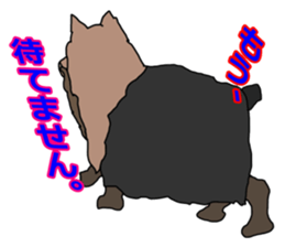 a cheerful Yorkshire terrier 2nd jp sticker #4012684