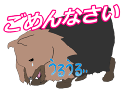 a cheerful Yorkshire terrier 2nd jp sticker #4012686