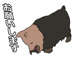 a cheerful Yorkshire terrier 2nd jp sticker #4012689