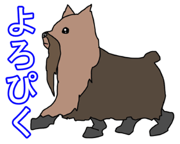 a cheerful Yorkshire terrier 2nd jp sticker #4012690