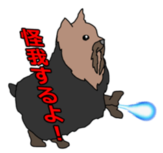 a cheerful Yorkshire terrier 2nd jp sticker #4012691