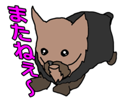 a cheerful Yorkshire terrier 2nd jp sticker #4012692