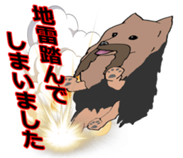 a cheerful Yorkshire terrier 2nd jp sticker #4012693