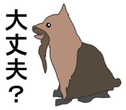 a cheerful Yorkshire terrier 2nd jp sticker #4012694