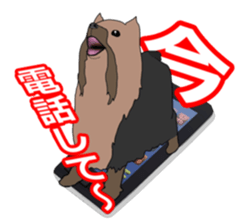 a cheerful Yorkshire terrier 2nd jp sticker #4012697