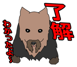 a cheerful Yorkshire terrier 2nd jp sticker #4012699