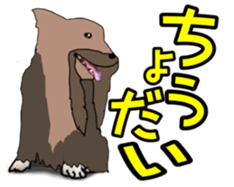 a cheerful Yorkshire terrier 2nd jp sticker #4012700