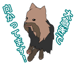 a cheerful Yorkshire terrier 2nd jp sticker #4012701