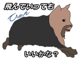 a cheerful Yorkshire terrier 2nd jp sticker #4012702