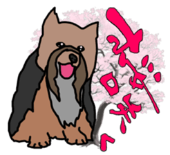 a cheerful Yorkshire terrier 2nd jp sticker #4012704