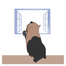 a cheerful Yorkshire terrier 2nd jp sticker #4012710