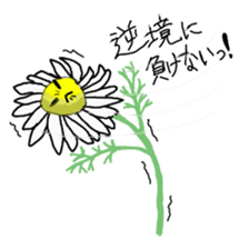 My Flowers sticker #4016837