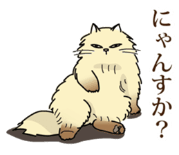 Cheeky Persian Cat Vol.1 sticker #4018718