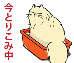 Cheeky Persian Cat Vol.1 sticker #4018723