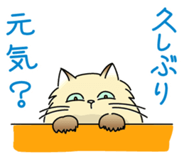 Cheeky Persian Cat Vol.1 sticker #4018725