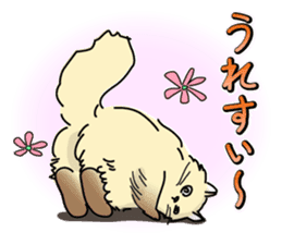 Cheeky Persian Cat Vol.1 sticker #4018736