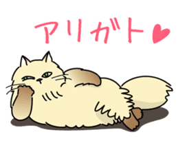 Cheeky Persian Cat Vol.1 sticker #4018737