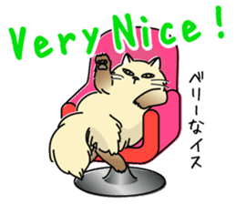 Cheeky Persian Cat Vol.1 sticker #4018743