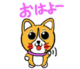 Smile! Corgi dog and rabbit. sticker #4019151