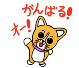Smile! Corgi dog and rabbit. sticker #4019154
