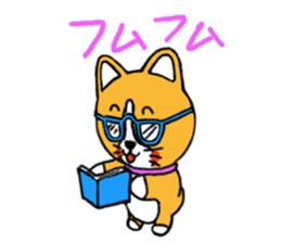 Smile! Corgi dog and rabbit. sticker #4019159