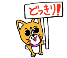 Smile! Corgi dog and rabbit. sticker #4019160