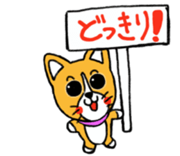 Smile! Corgi dog and rabbit. sticker #4019160