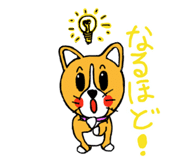 Smile! Corgi dog and rabbit. sticker #4019164