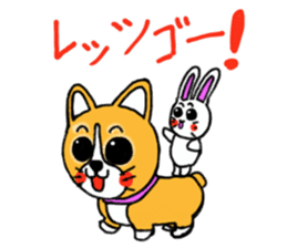 Smile! Corgi dog and rabbit. sticker #4019166
