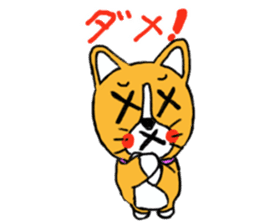 Smile! Corgi dog and rabbit. sticker #4019168